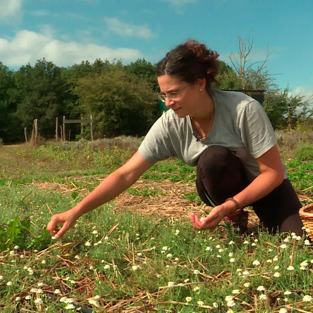 Les producteurs