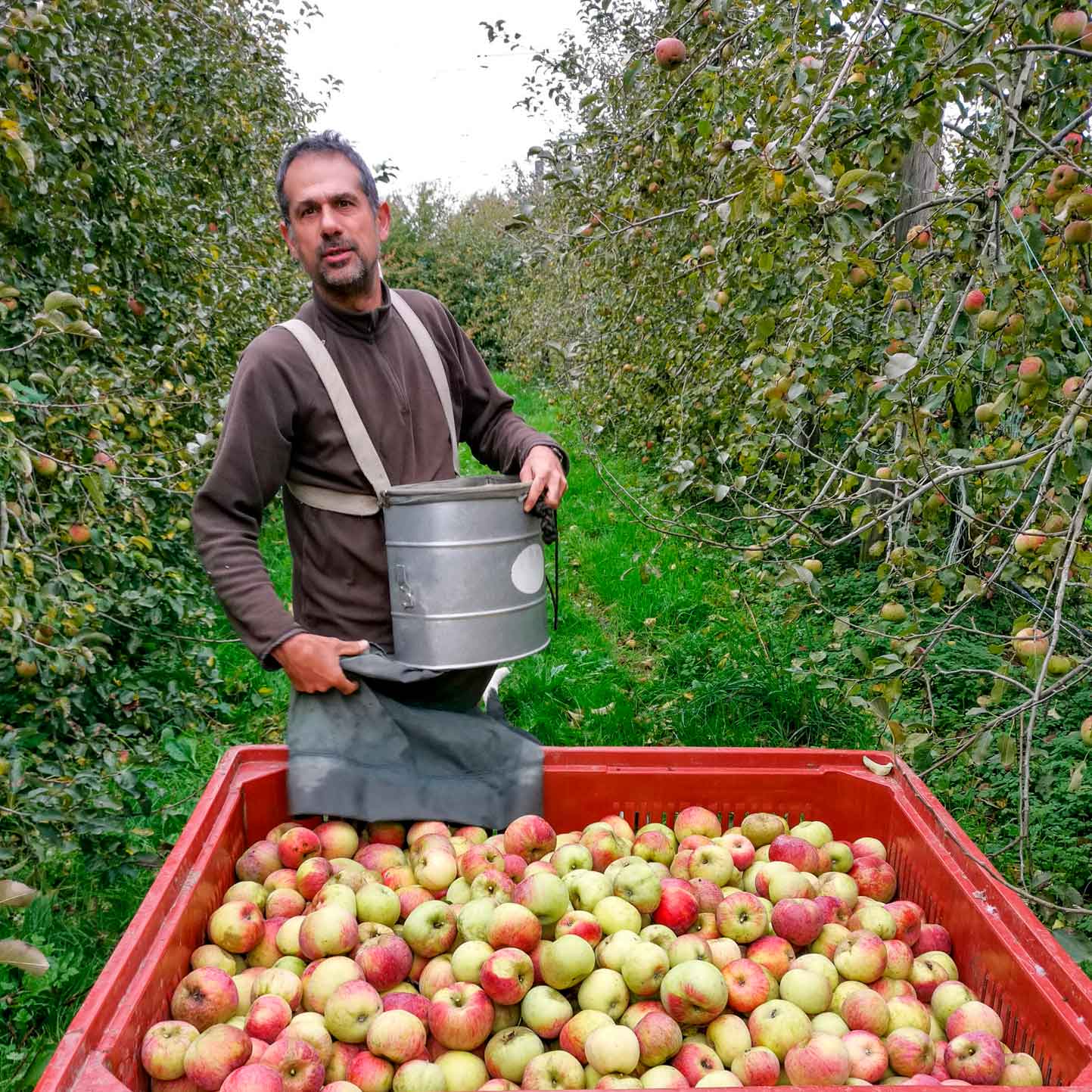 Les producteurs