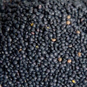 LENTILLES NOIRES BELUGA - 500G