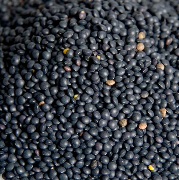 LENTILLES NOIRES BELUGA - 500G