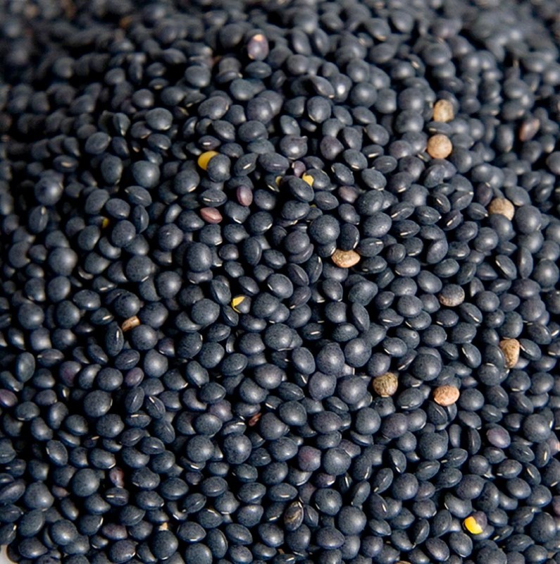 111295-lentilles-noires-beluga.jpg