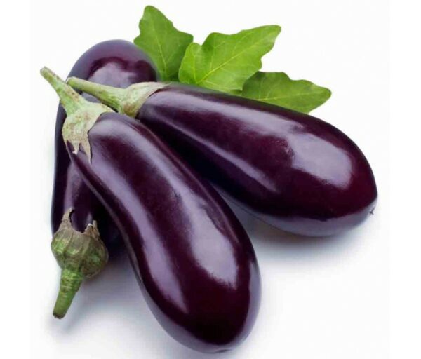 AUBERGINE VIOLETTE