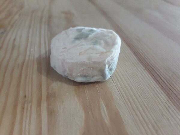 FROMAGE CHEVRE CROTTIN 90G - BIO