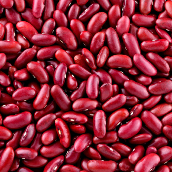 HARICOTS ROUGES 500G - BIO – Image 3