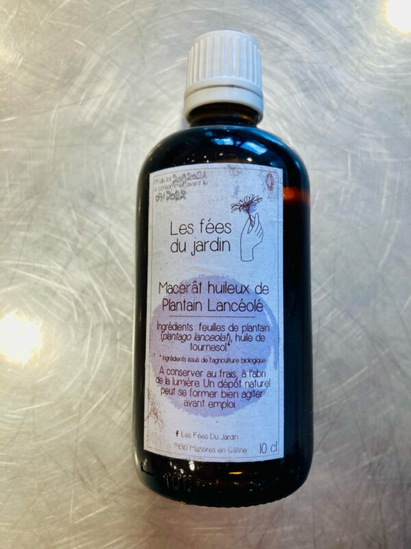 MACERAT HUILEUX PLANTAIN - 100ml