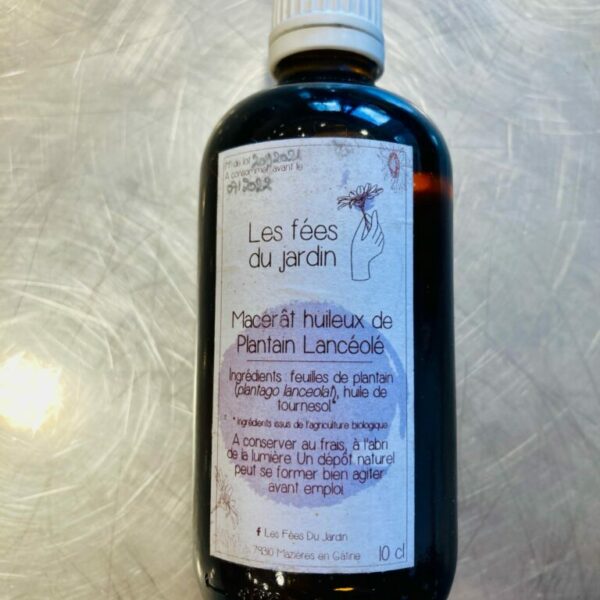 MACERAT HUILEUX PLANTAIN - 100ml