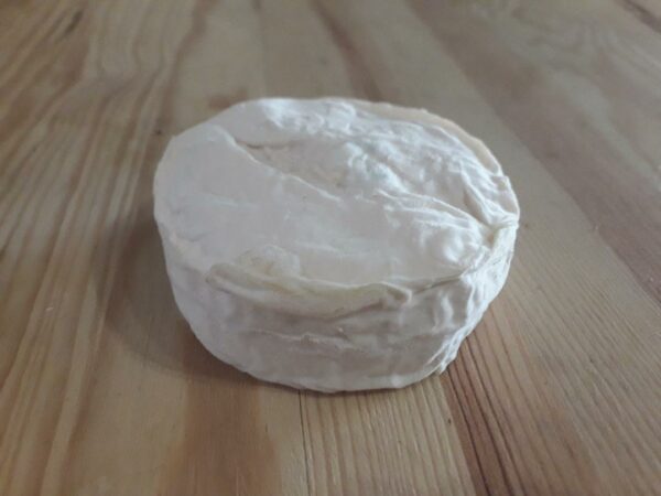 FROMAGE CHEVRE MOTHAIS 180G - BIO