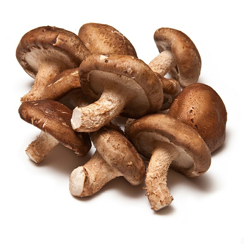 Shiitake_bio.jpeg