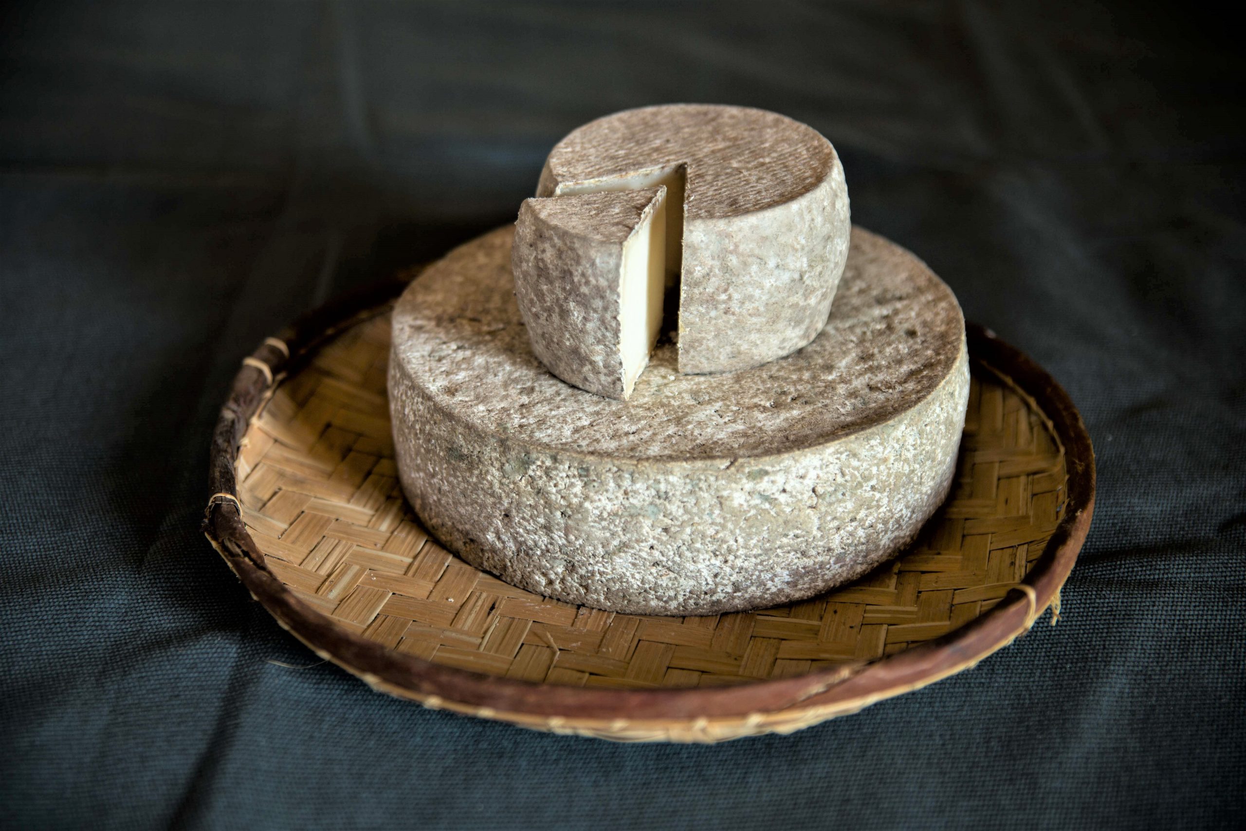 TOMME-scaled-1.jpg