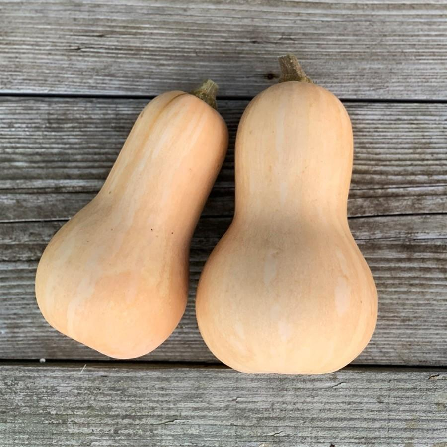 courge-butternut-la-piece-167228-1633722251-1.jpeg