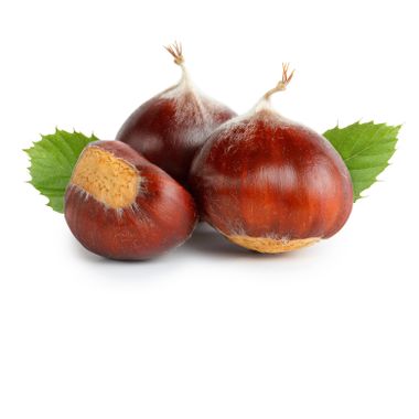 Chestnuts with chestnut leafs isolated on white