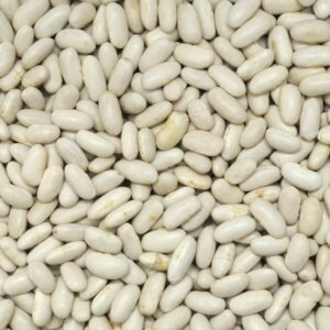 HARICOTS BLANCS 1KG - BIO