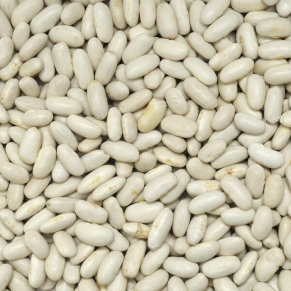 HARICOTS BLANCS 1KG - BIO