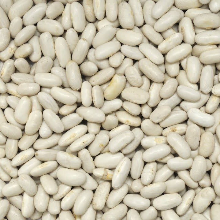 haricots-blancs.jpg
