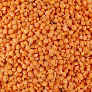 LENTILLES CORAIL 500G - BIO