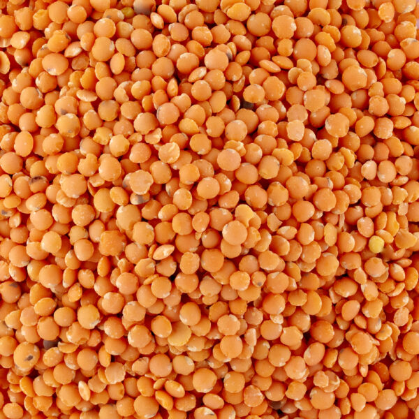 LENTILLES CORAIL 500G - BIO