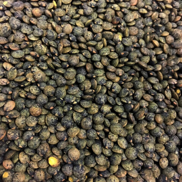 LENTILLES VERTES - BIO – Image 3