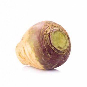 rutabaga-fond-blanc-2_346_346_filled.jpg